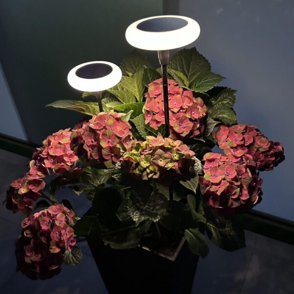 Solarna lampa dekoracyjna Halo