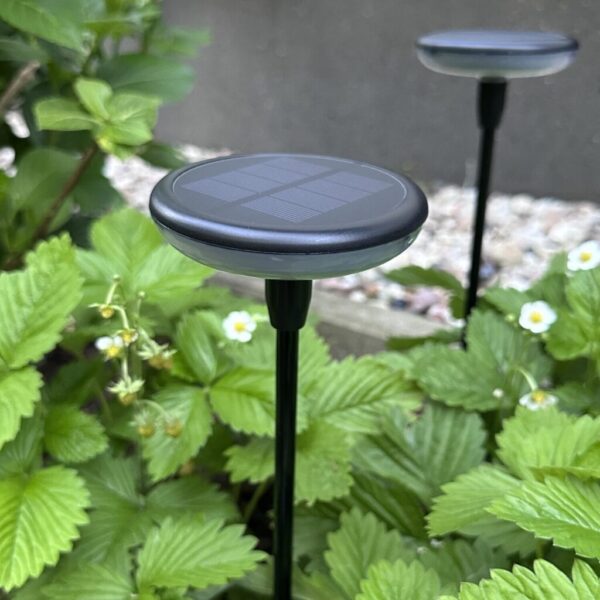 Solarna lampa dekoracyjna Halo Disk