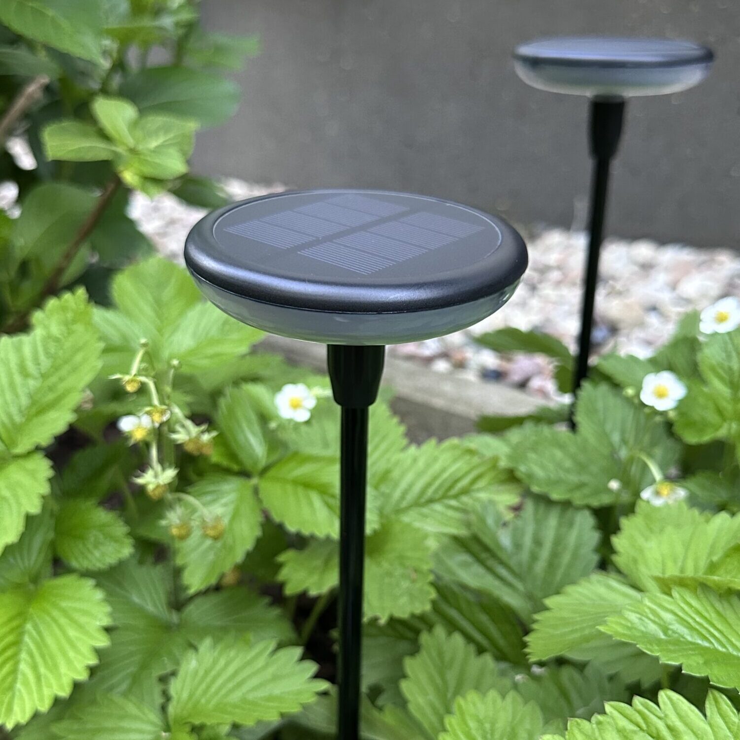 Solarna lampa dekoracyjna Halo Disk